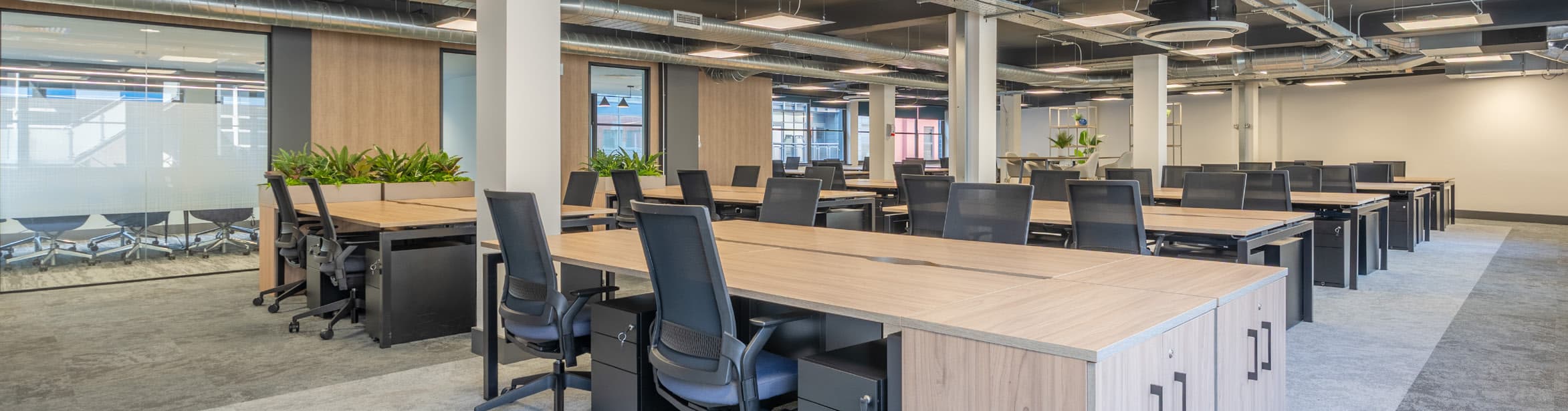 Refurbished desk space with planters and natural light